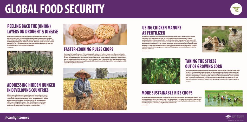 Global Food Security