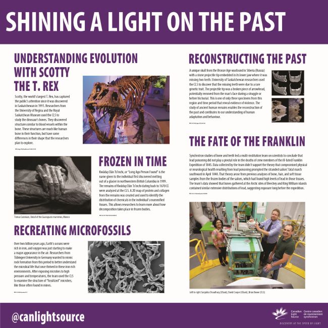 Shining a Light on the Past